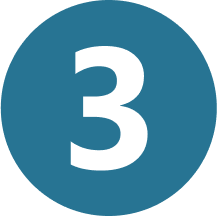 Copy number 3